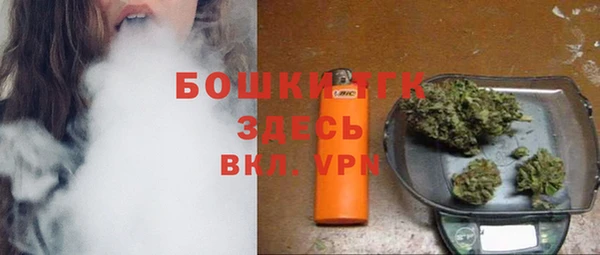 индика Липки