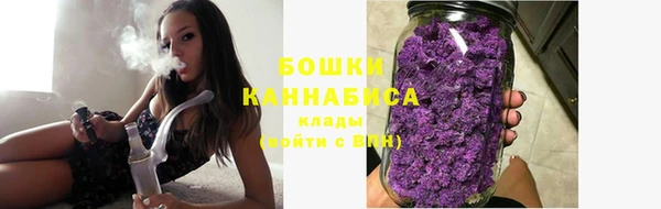индика Липки