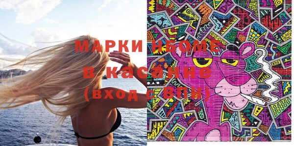 индика Липки
