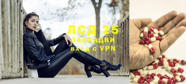 индика Липки