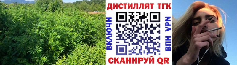 ТГК концентрат  Тогучин 